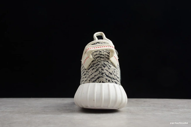 AQ4832 Boost Adidas YEEZY Dove 350 Turtle 0821